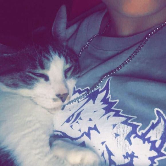 Meet your Posher, Reed - Picture 1 of 1